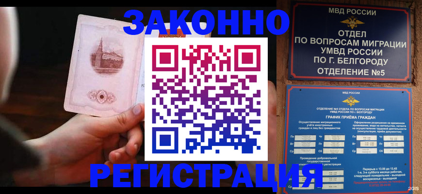 прописка 2025 в Лодейном Поле